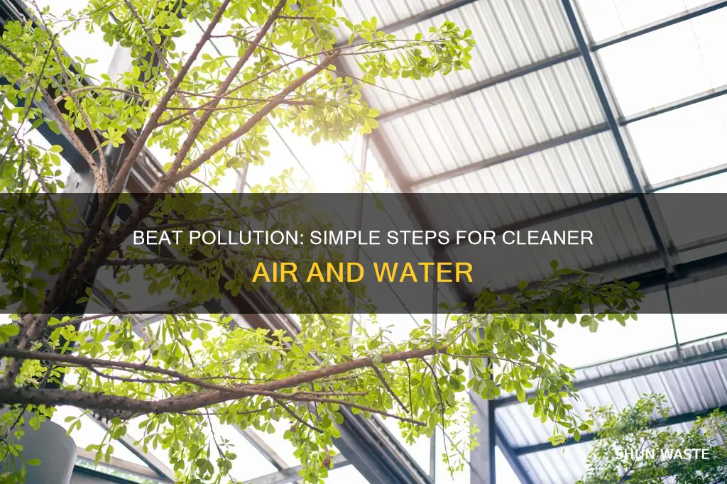 how to reduce air and water pollution