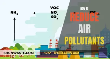 Strategies to Reduce Air Pollutants for Cleaner Breathing