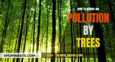 Planting Trees: Reducing Air Pollution, Greening Our Future