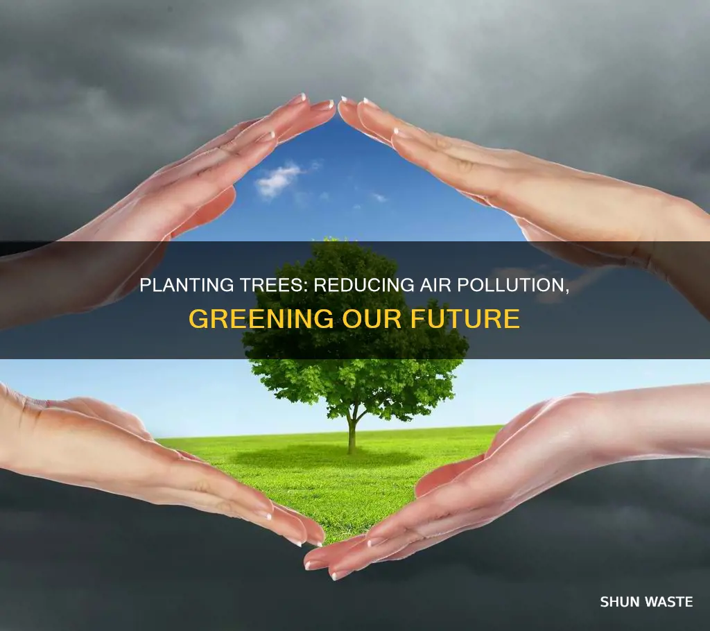 how to reduce air pollution by trees