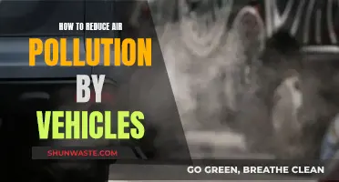 Reducing Vehicle Air Pollution: Strategies for Cleaner Air