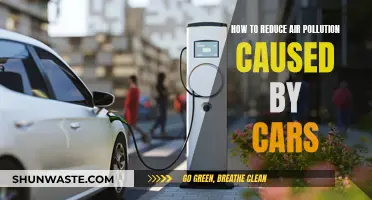 Green Driving: Simple Steps to Cut Car-Related Air Pollution