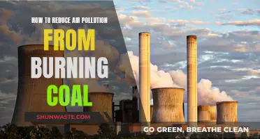 Reducing Coal's Impact: Strategies to Minimize Air Pollution