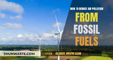 Mitigating Fossil Fuel Emissions to Reduce Air Pollution