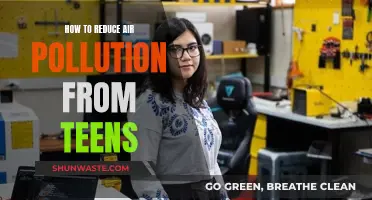 Teens Taking Action: Reducing Air Pollution