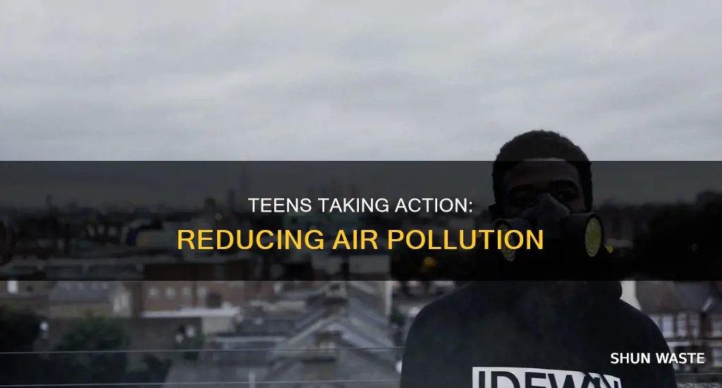 how to reduce air pollution from teens