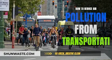 Transportation's Air Pollution: Strategies for Cleaner Air