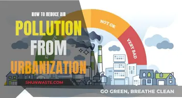 Controlling Urban Air Pollution: Strategies for Cleaner Air