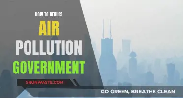 Government Strategies to Reduce Air Pollution