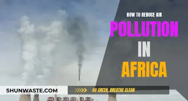 Strategies to Reduce Air Pollution in Africa