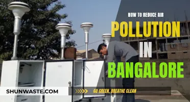 Bangalore's Air: Strategies for Pollution Reduction