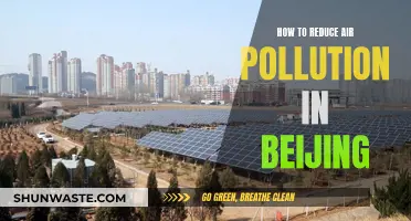 Beijing's Air: Strategies for Pollution Reduction and Control