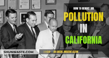 Reducing Air Pollution: California's Clean Air Strategies