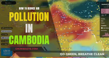 Cambodia's Air: Strategies for Pollution Reduction