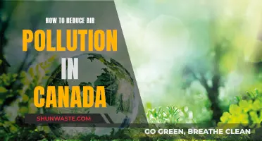 Canada's Air: Strategies for Pollution Reduction