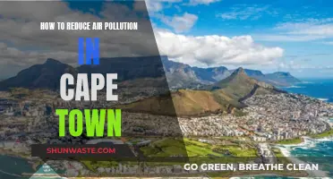 Cape Town's Air: Strategies for Cleaner Breathing