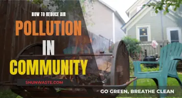 Community Action for Cleaner Air