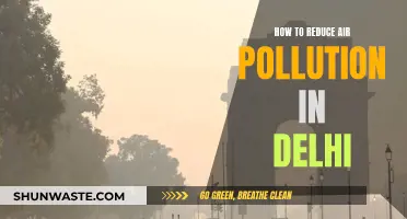 Delhi's Air Pollution: Strategies for Improvement