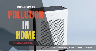 Purify Your Home: Reducing Indoor Air Pollution