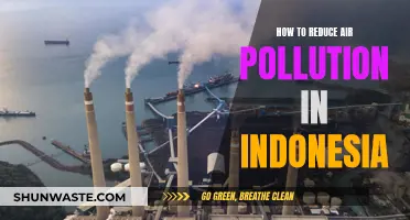 Reducing Air Pollution: Indonesia's Strategies for Cleaner Air