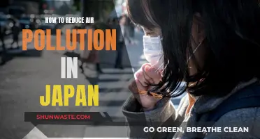 Strategies to Reduce Air Pollution in Japan