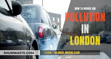 Reducing Air Pollution in London: Strategies for Cleaner Air