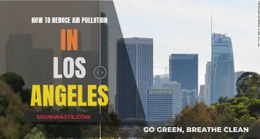 Los Angeles' Air: Strategies for Pollution Reduction