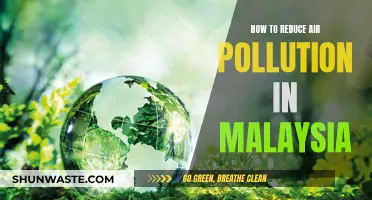 Malaysia's Air: Strategies for Pollution Reduction