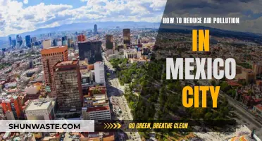 Mexico City's Air: Strategies for Cleaner Breathing