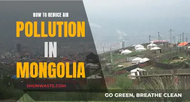 Reducing Air Pollution: Mongolia's Initiatives for Cleaner Air