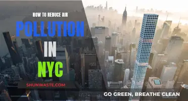 Reducing Air Pollution: NYC's Strategies for Cleaner Air