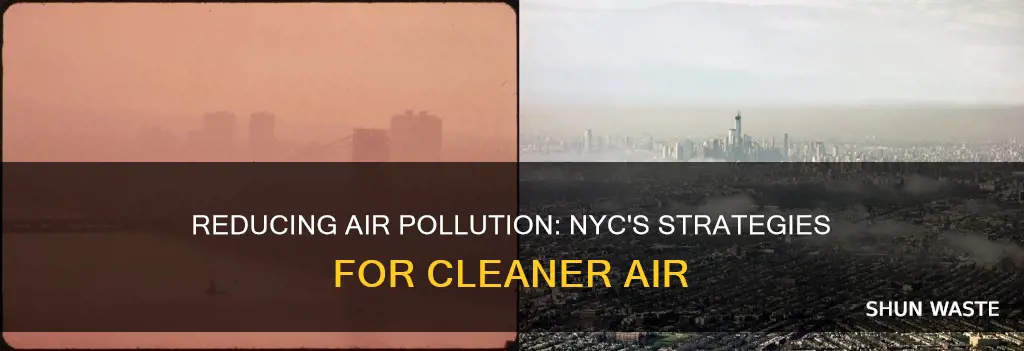 how to reduce air pollution in nyc