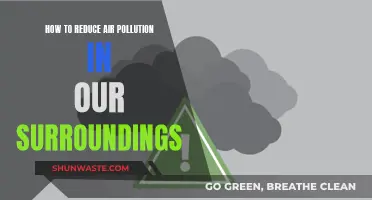 Air Pollution: Simple Steps for Cleaner Surroundings