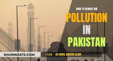 Pakistan's Air: Strategies for Pollution Reduction