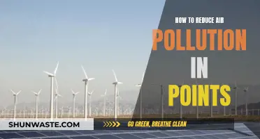 Strategies to Reduce Air Pollution