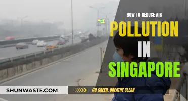 Singapore's Air: Strategies for Pollution Reduction