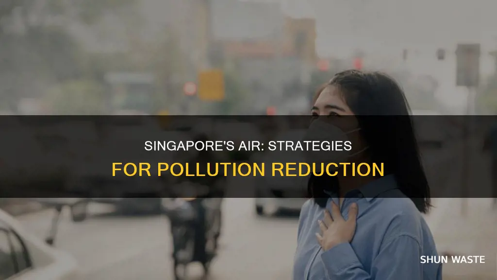 how to reduce air pollution in singapore