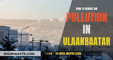 Reducing Air Pollution in Ulaanbaatar: Strategies for Cleaner Air