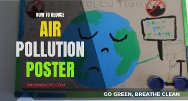 Air Quality Action: Simple Steps to Cleaner Air