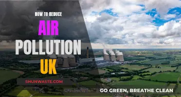 UK Air Pollution: Strategies for Improvement and Actionable Steps