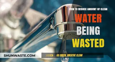 Smart Water Conservation: Simple Strategies to Reduce Clean Water Waste