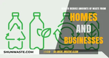 Sustainable Living: Practical Tips to Minimize Home and Business Waste