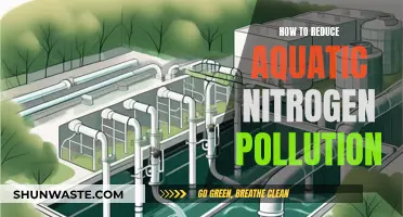 Reducing Aquatic Nitrogen Pollution: Strategies for a Healthier Ecosystem