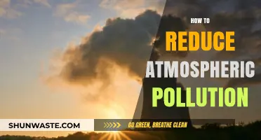 Mitigating Air Pollution: Strategies for a Cleaner Tomorrow