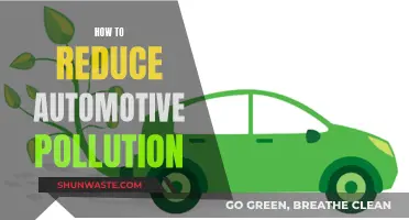 Green Driving: Reducing Automotive Pollution for Cleaner Air