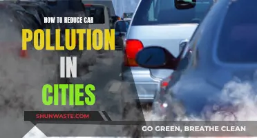 Reducing Car Pollution: Strategies for Cleaner City Air