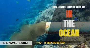 Combating Ocean Pollution: Reducing Chemical Contamination