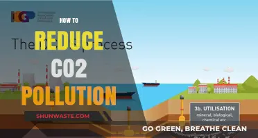 Cutting CO2 Pollution: Strategies for a Greener Tomorrow