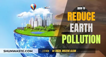 Saving Earth: Reducing Pollution with Collective Action