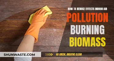 Reduce Indoor Air Pollution from Burning Biomass